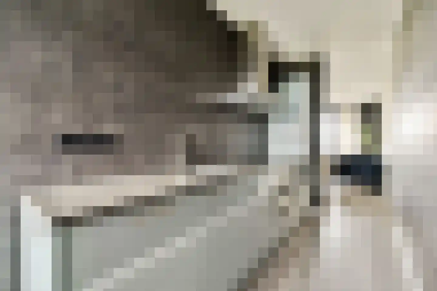 Kikkenstein 3643 Amsterdam thumbnail 11