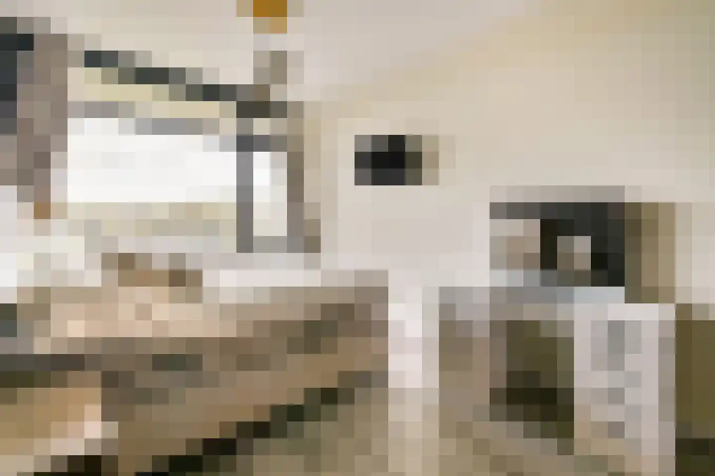 Kikkenstein 3643 Amsterdam thumbnail 12