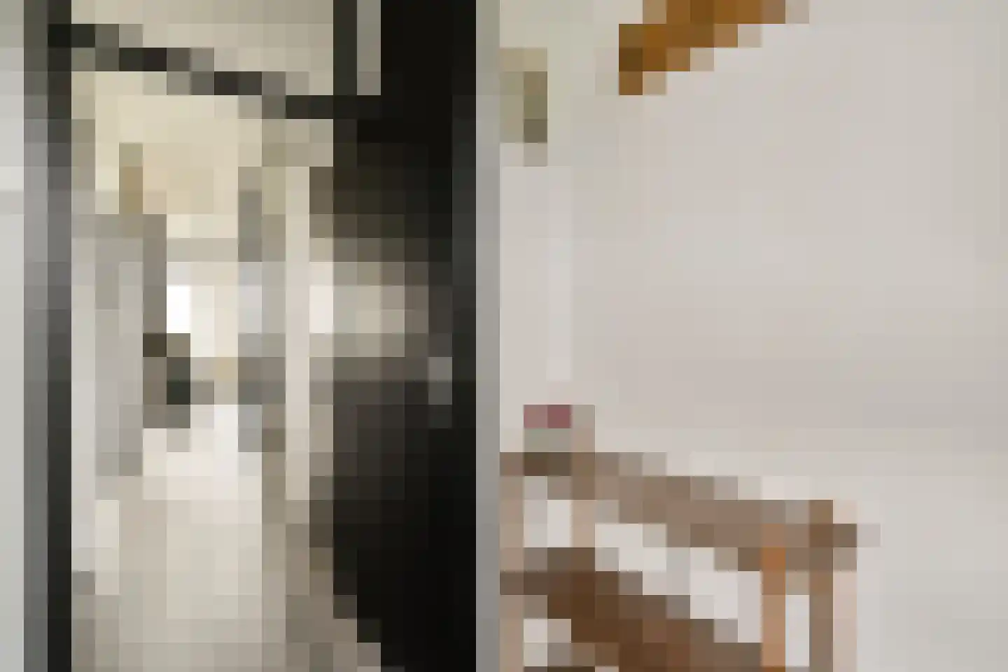 Kikkenstein 3643 Amsterdam thumbnail 13