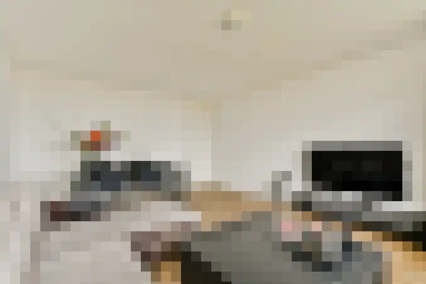 Kikkenstein 3850 Amsterdam thumbnail 8