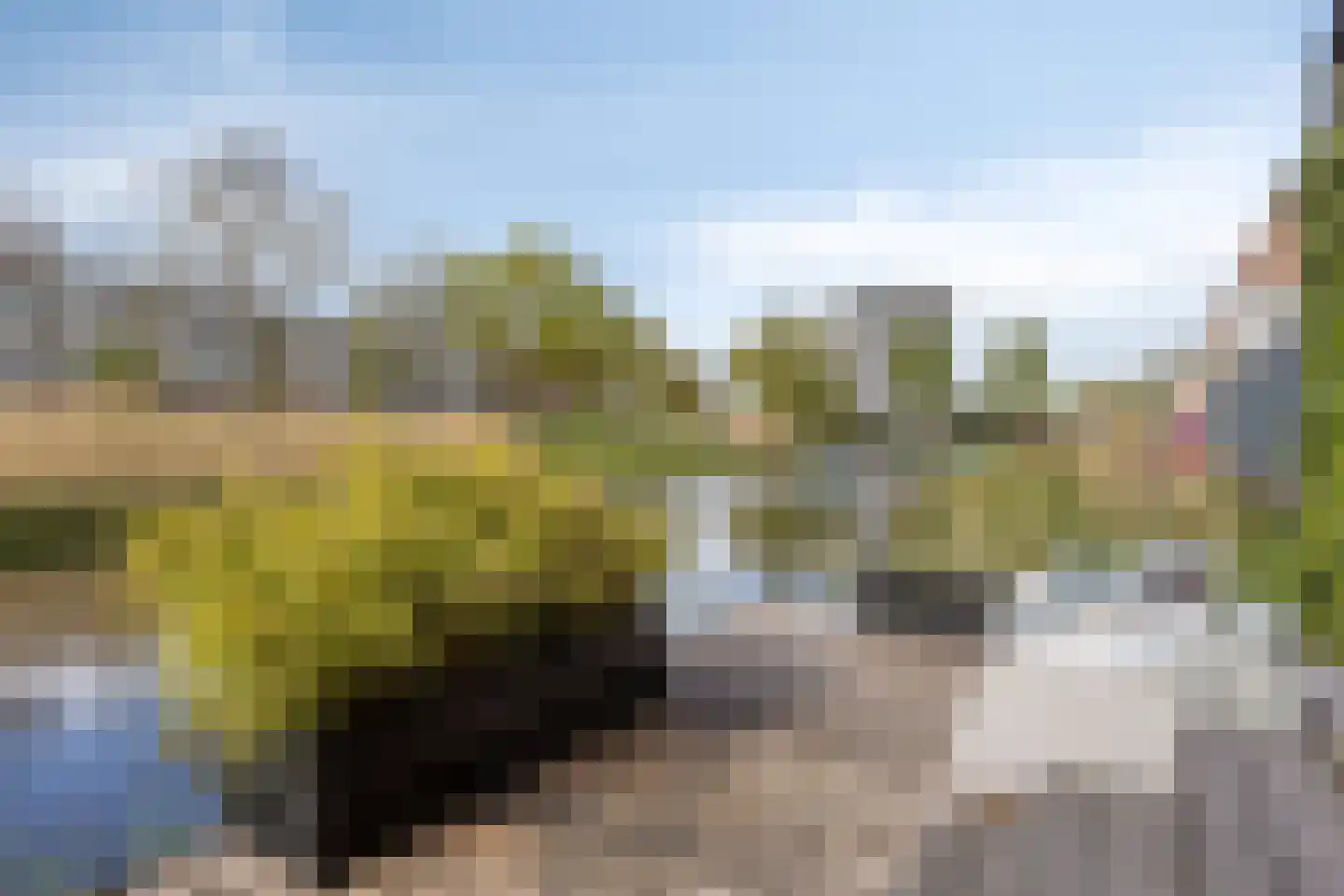 Kikkerbeet 11 Amersfoort thumbnail 29