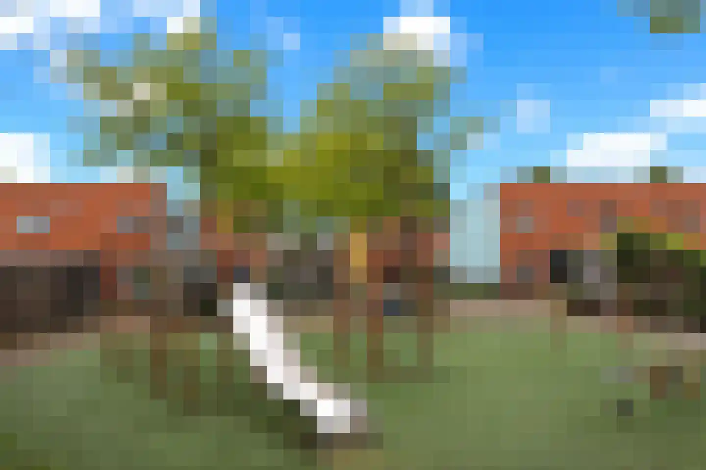 Kikkerbeet 3 Amersfoort thumbnail 21