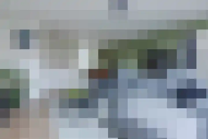 Kikkerbeet 4 Oudkarspel thumbnail 15