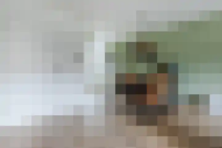 Kikkerbeet 4 Oudkarspel thumbnail 17