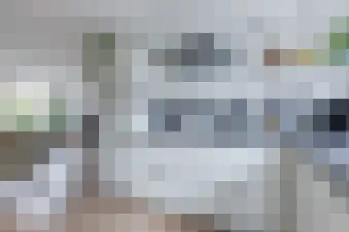 Kikkerbeet 4 Oudkarspel thumbnail 21