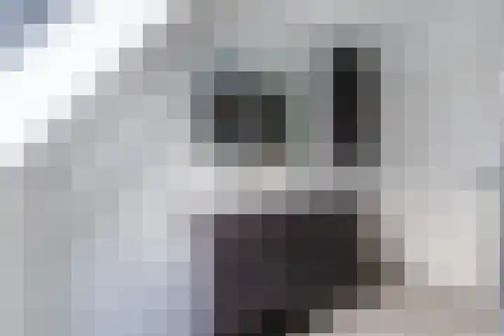 Kikkerbeet 4 Oudkarspel thumbnail 34