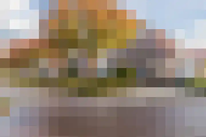 Kikkerbeet 4 Oudkarspel thumbnail 4