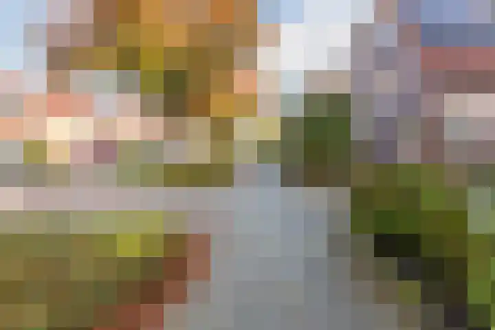 Kikkerbeet 4 Oudkarspel thumbnail 5