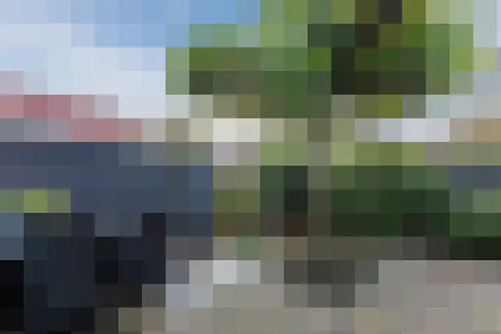 Kikkerbeet 4 Oudkarspel thumbnail 50