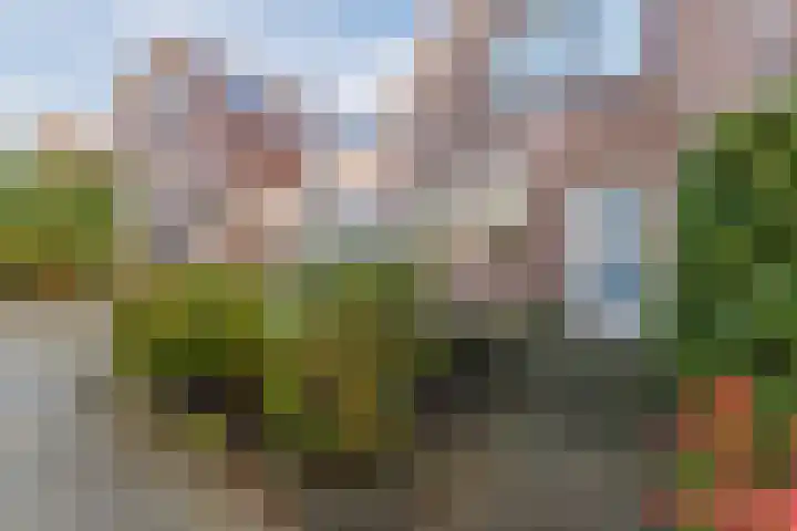 Kikkerbeet 4 Oudkarspel thumbnail 7