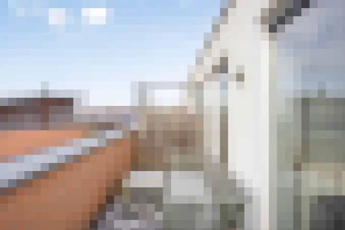 Kikkerbeet 67 B Amersfoort thumbnail 15