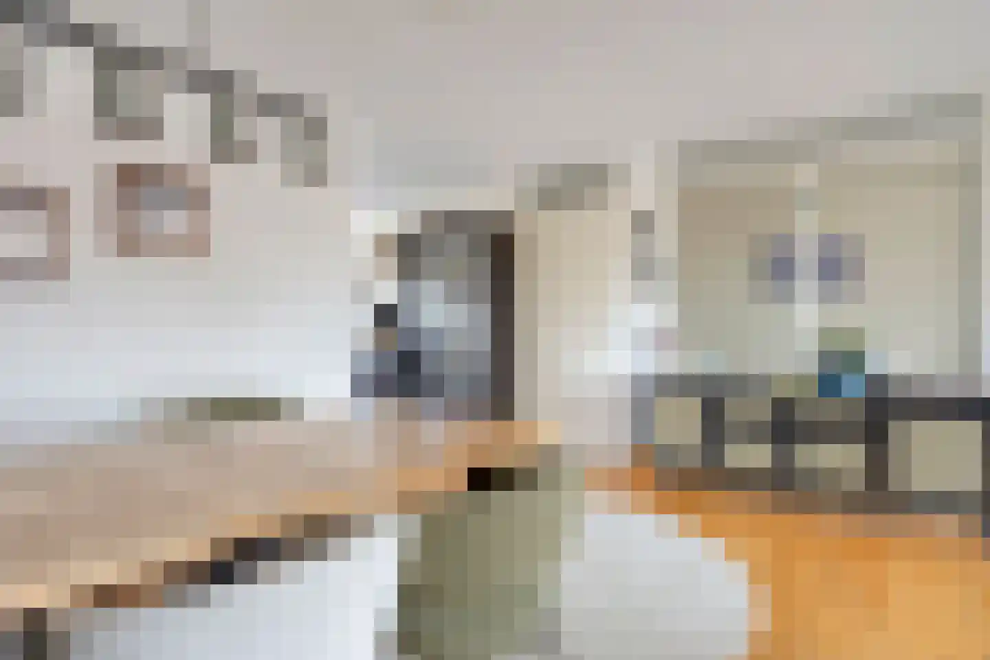 Kikkerbeet 67 B Amersfoort thumbnail 8
