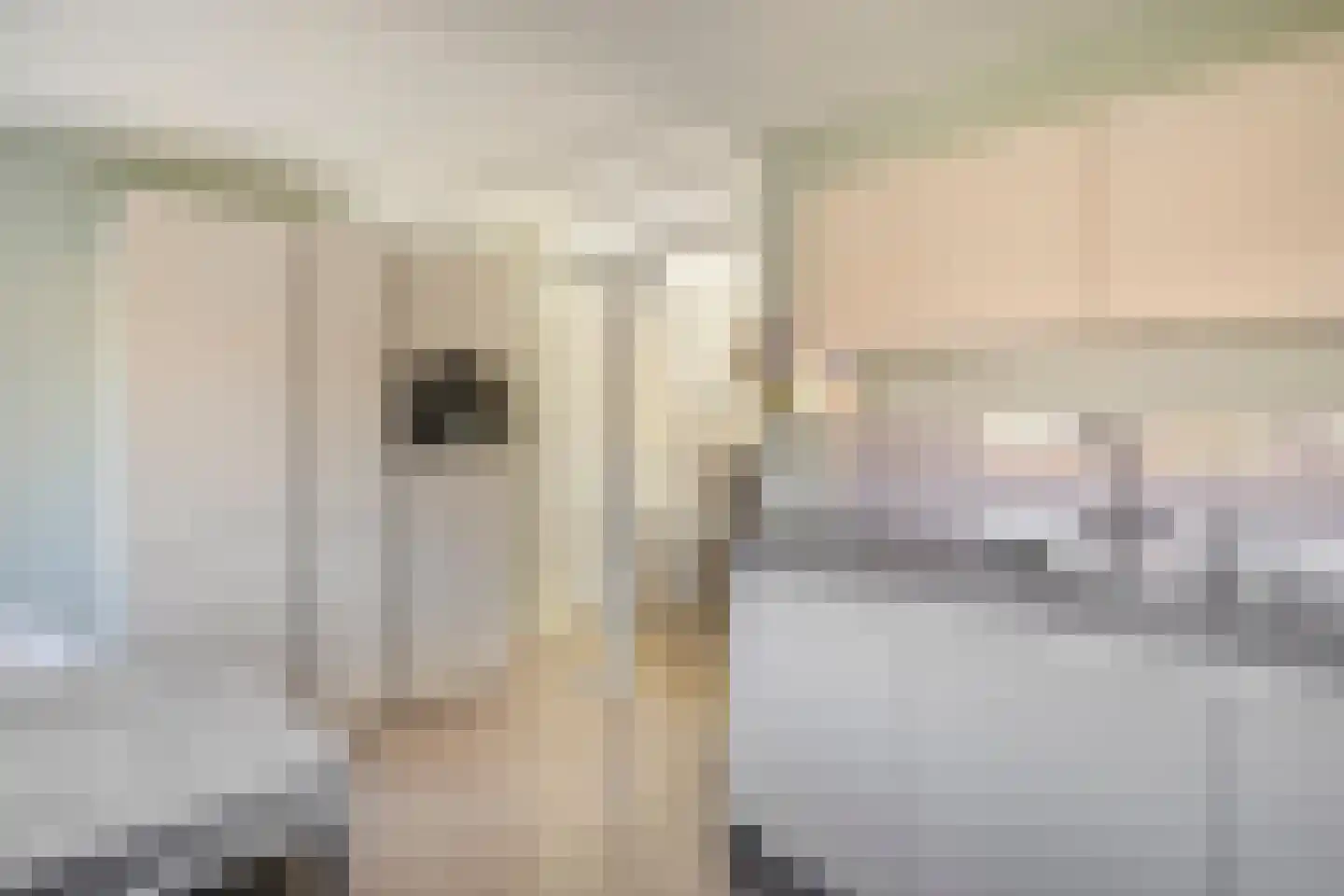Kikkerbeet 73 Amersfoort thumbnail 15