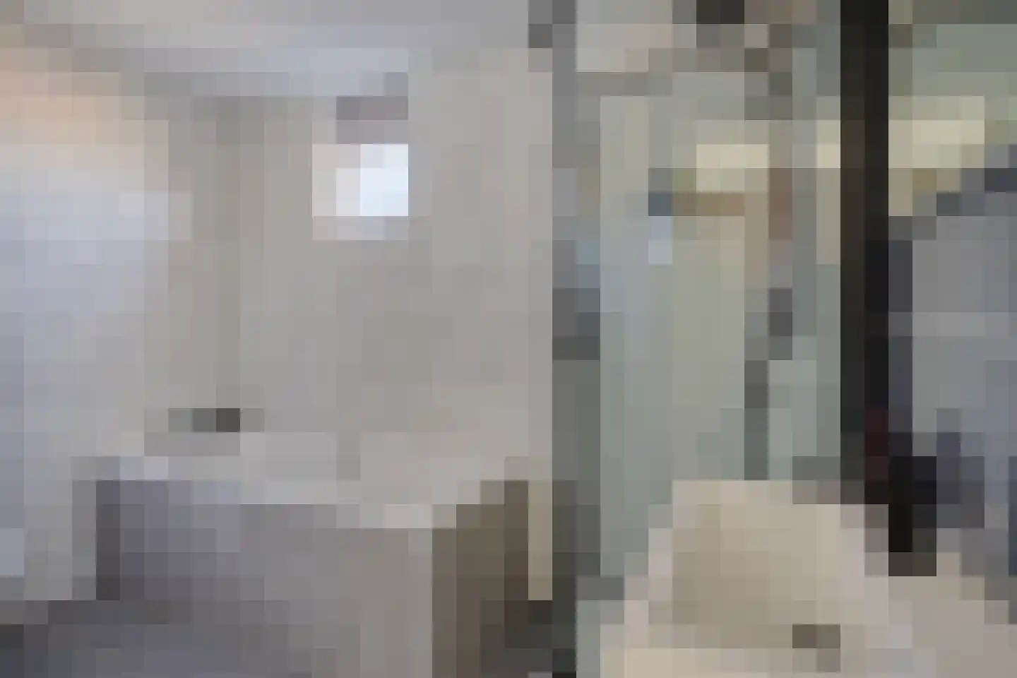 Kikkerbeet 73 Amersfoort thumbnail 20
