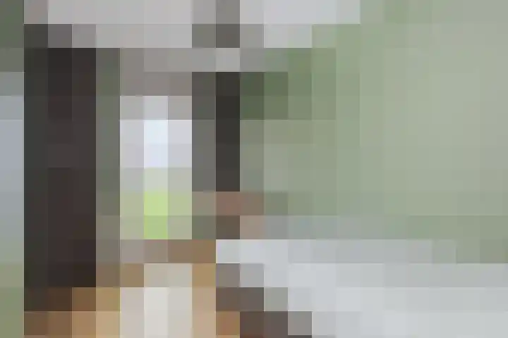 Kikkerbeet 9 Amersfoort thumbnail 29