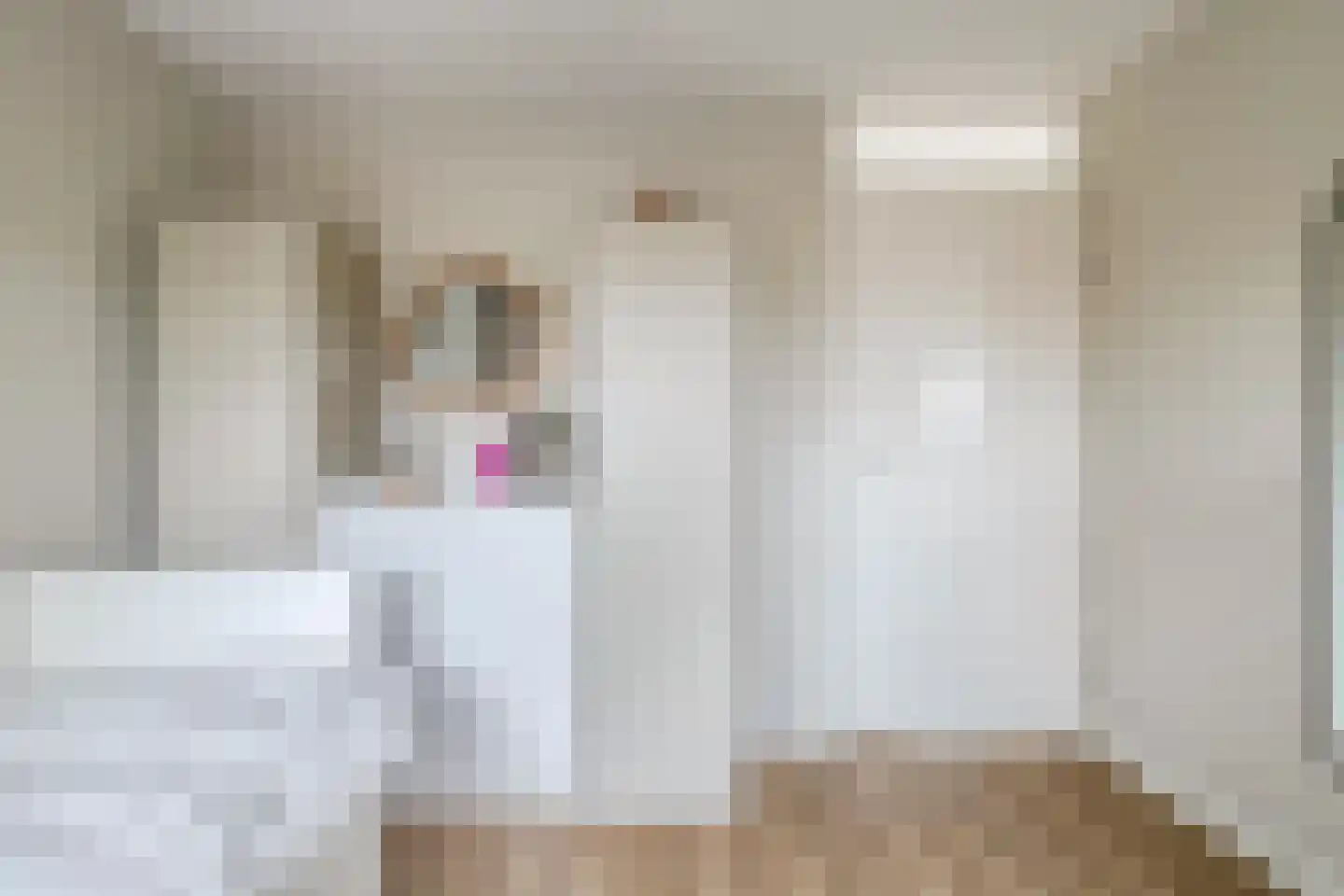 Kikkerbeet 9 Amersfoort thumbnail 30
