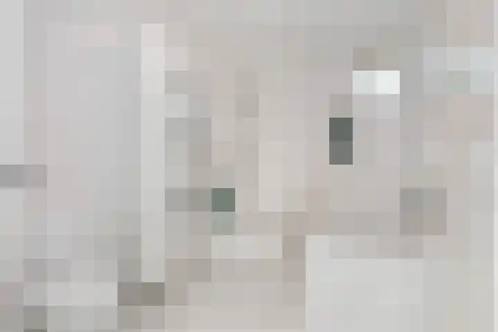 Kikkerbeet 9 Amersfoort thumbnail 32