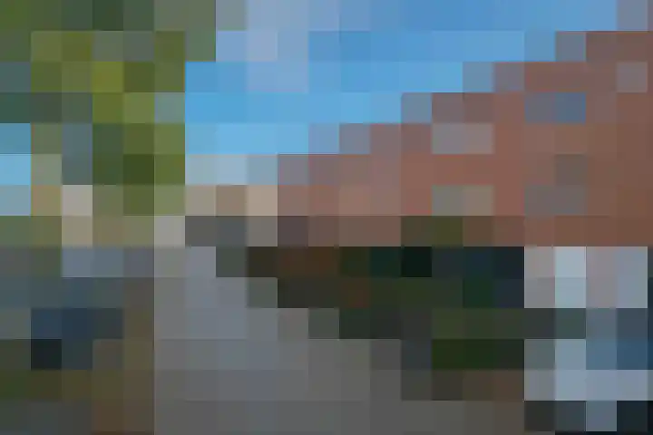 Kikkerbeet 9 Amersfoort thumbnail 33