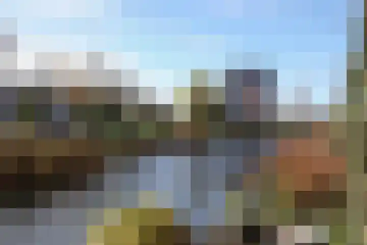 Kikkerbeet 9 Amersfoort thumbnail 36