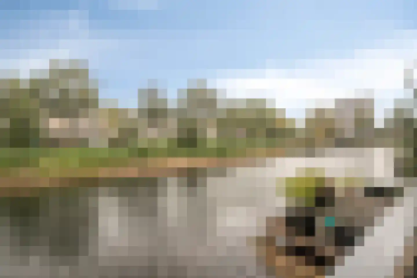 Kikkerbeet 9 Amersfoort thumbnail 36