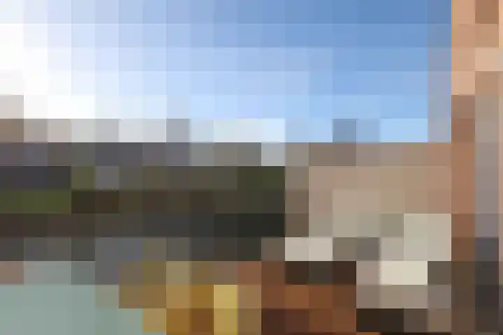 Kikkerbeet 9 Amersfoort thumbnail 5