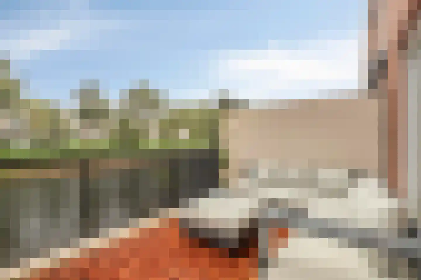 Kikkerbeet 9 Amersfoort thumbnail 7