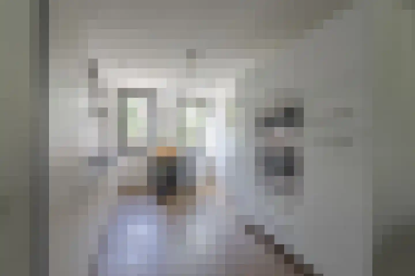 Kikkerbeet 9 Elst thumbnail 10