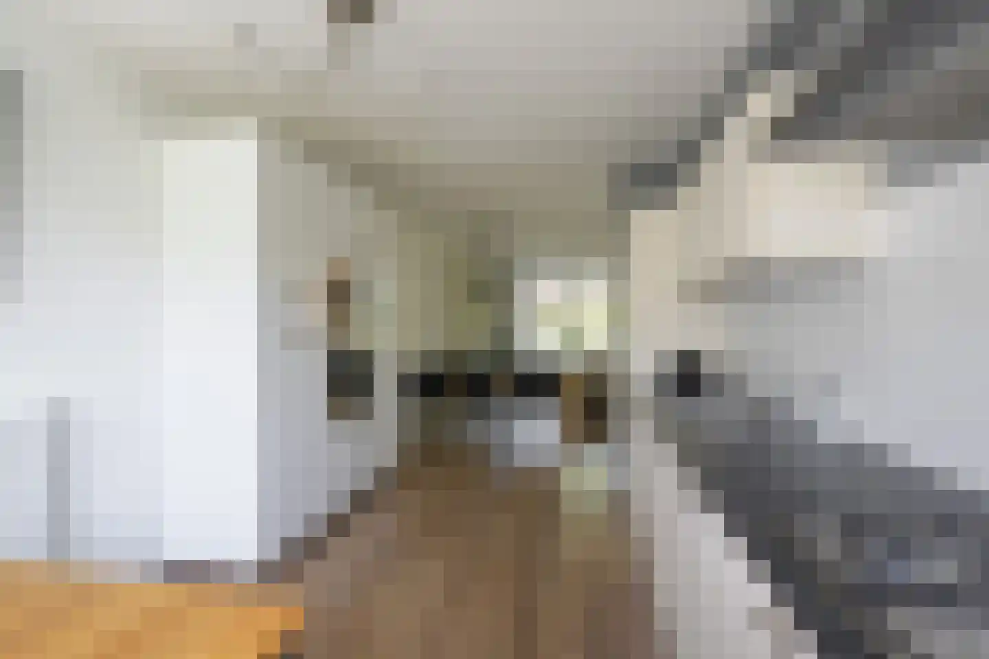 Kikkerbeet 9 Elst thumbnail 11