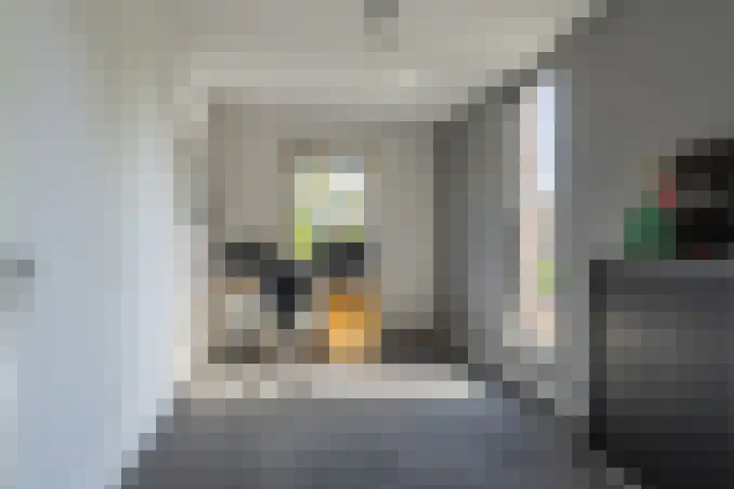 Kikkerbeet 9 Elst thumbnail 15