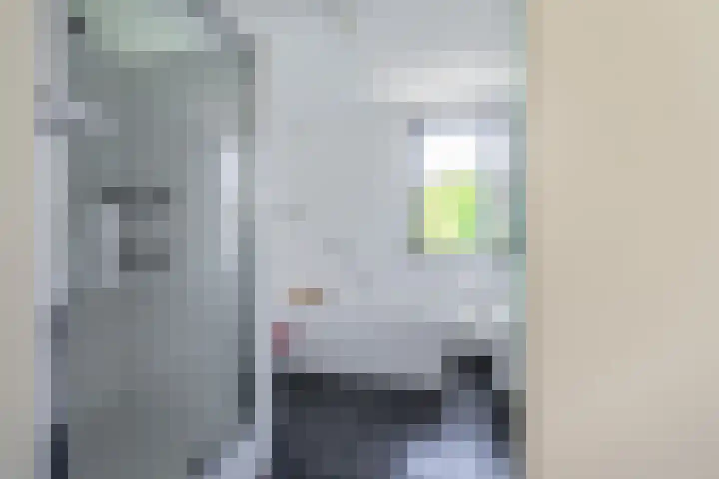 Kikkerbeet 9 Elst thumbnail 19