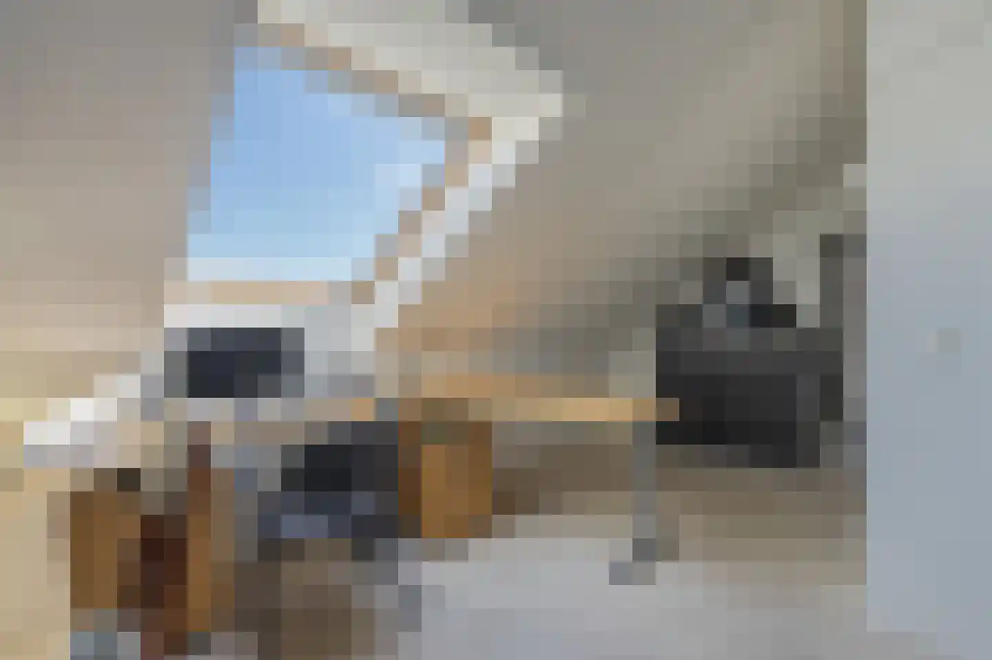 Kikkerbeet 9 Elst thumbnail 25