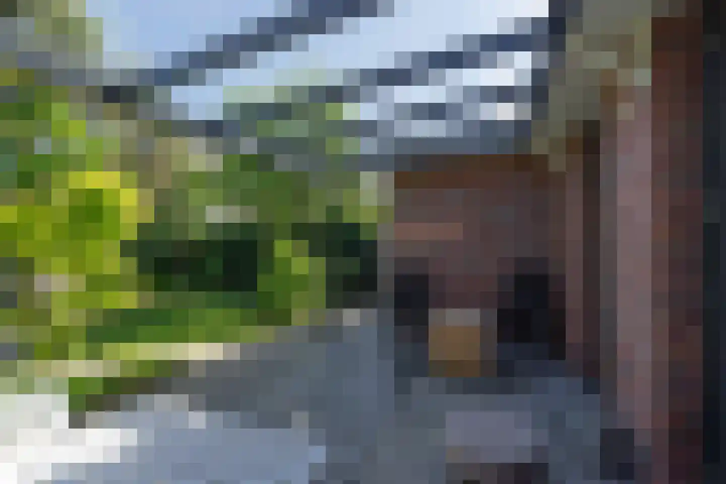 Kikkerbeet 9 Elst thumbnail 27