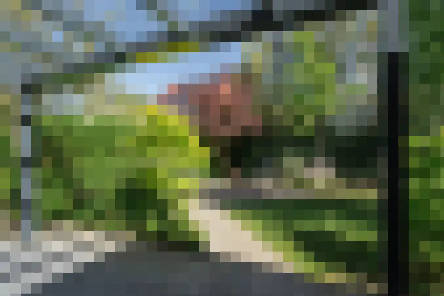 Kikkerbeet 9 Elst thumbnail 29
