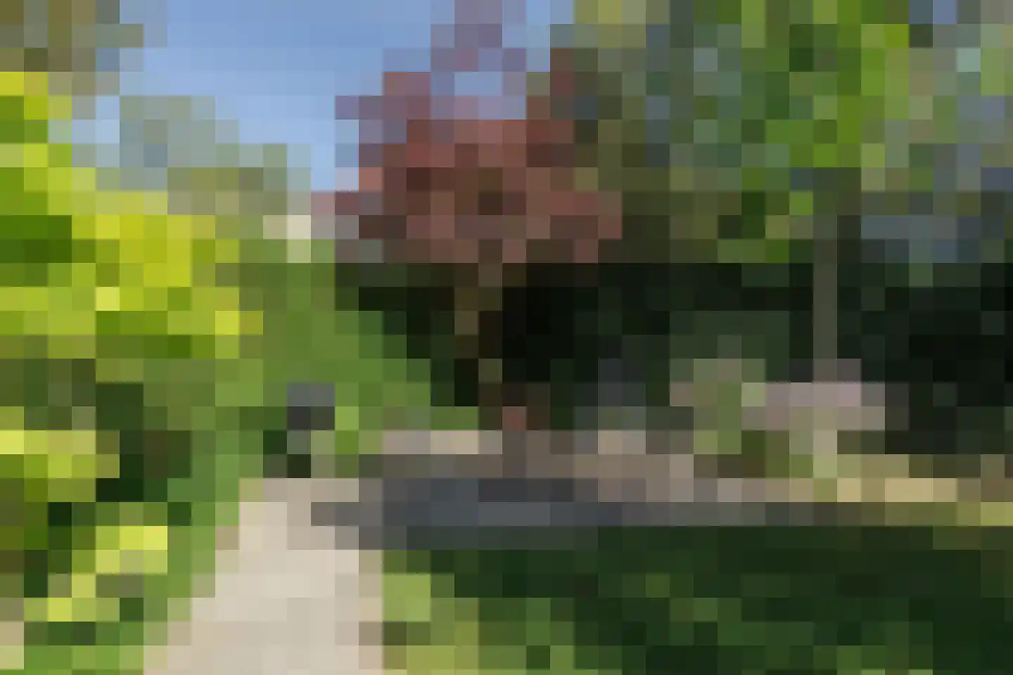 Kikkerbeet 9 Elst thumbnail 30