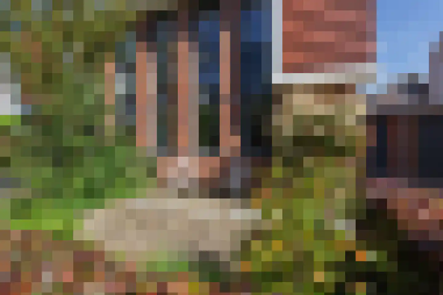 Kikkerbeet 9 Elst thumbnail 32