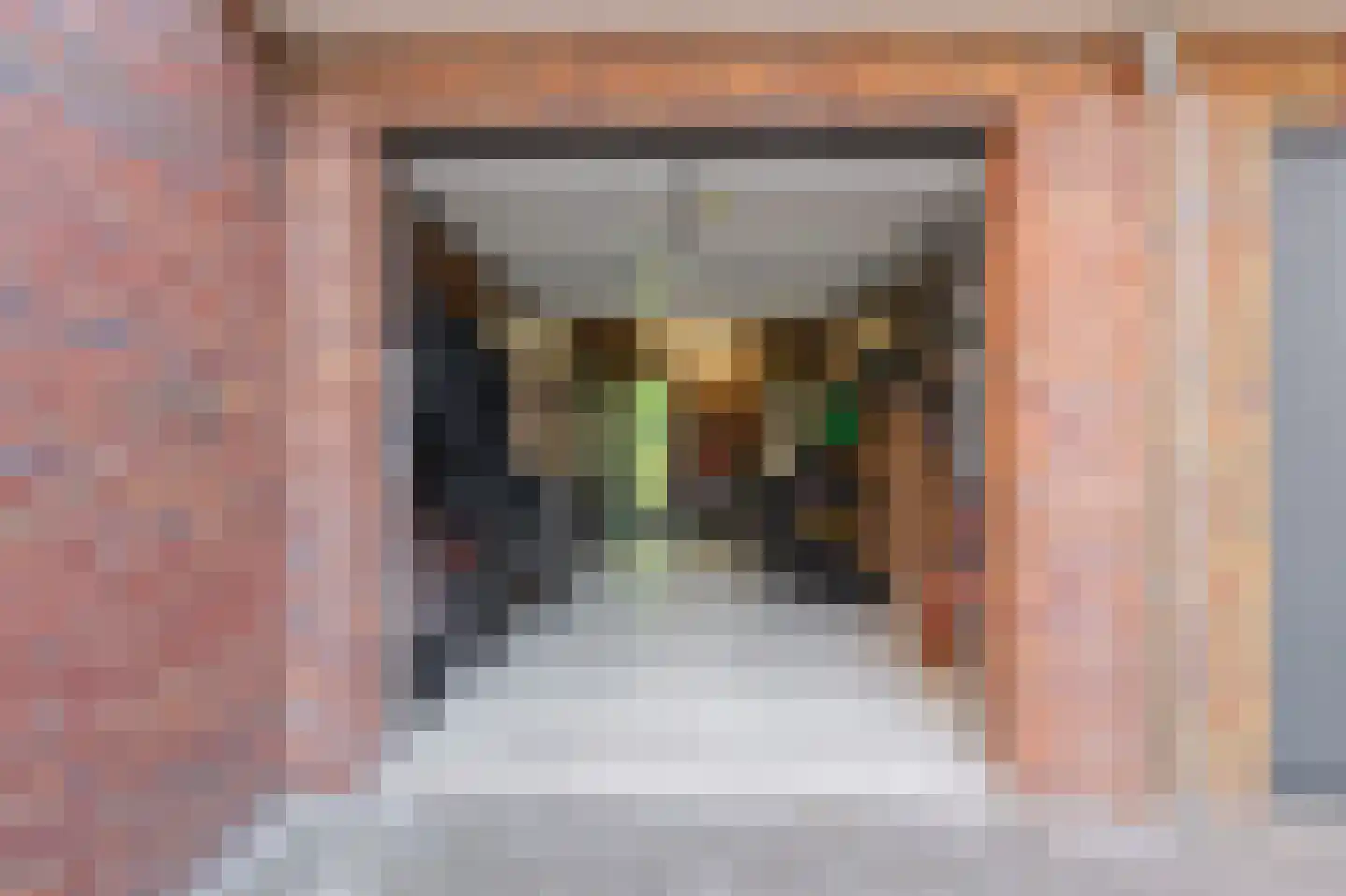 Kikkerbeet 9 Elst thumbnail 35