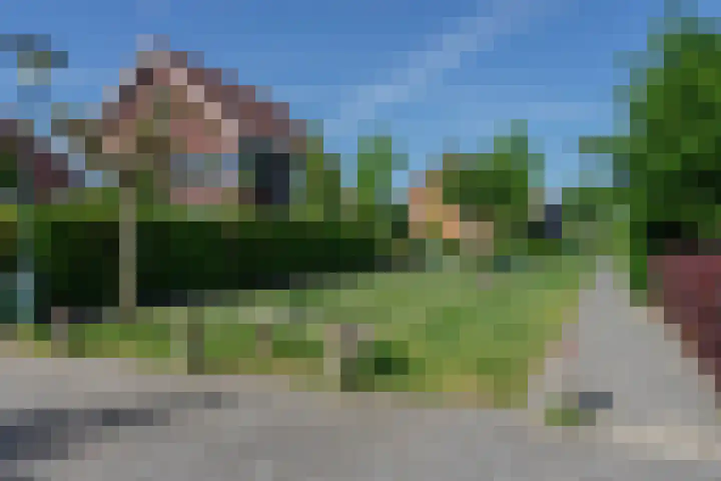 Kikkerbeet 9 Elst thumbnail 36