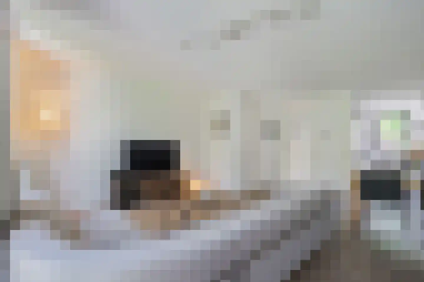 Kikkerbeet 9 Elst thumbnail 7