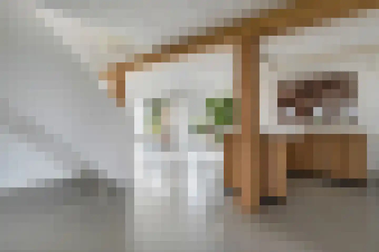 Kikkerij 1 Giethoorn thumbnail 11