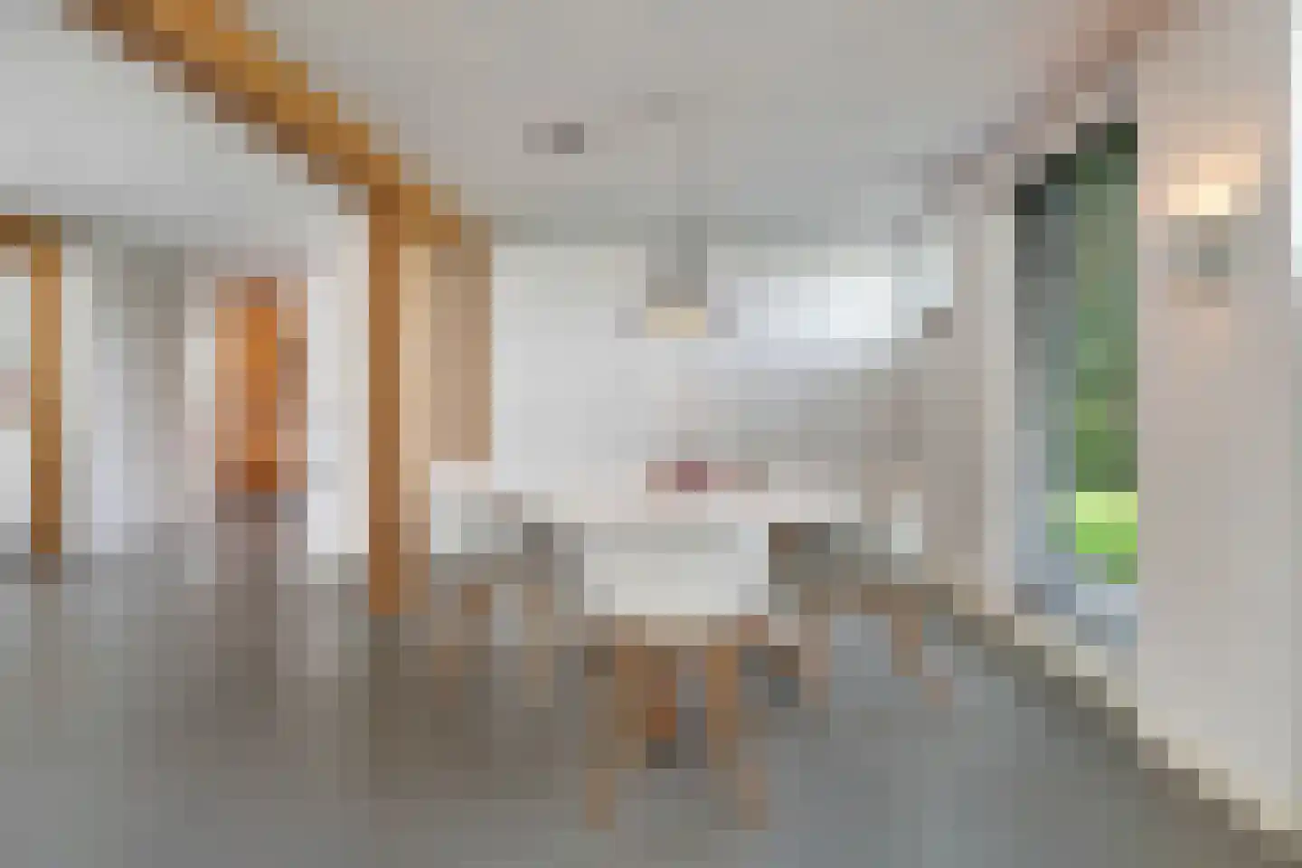 Kikkerij 1 Giethoorn thumbnail 14
