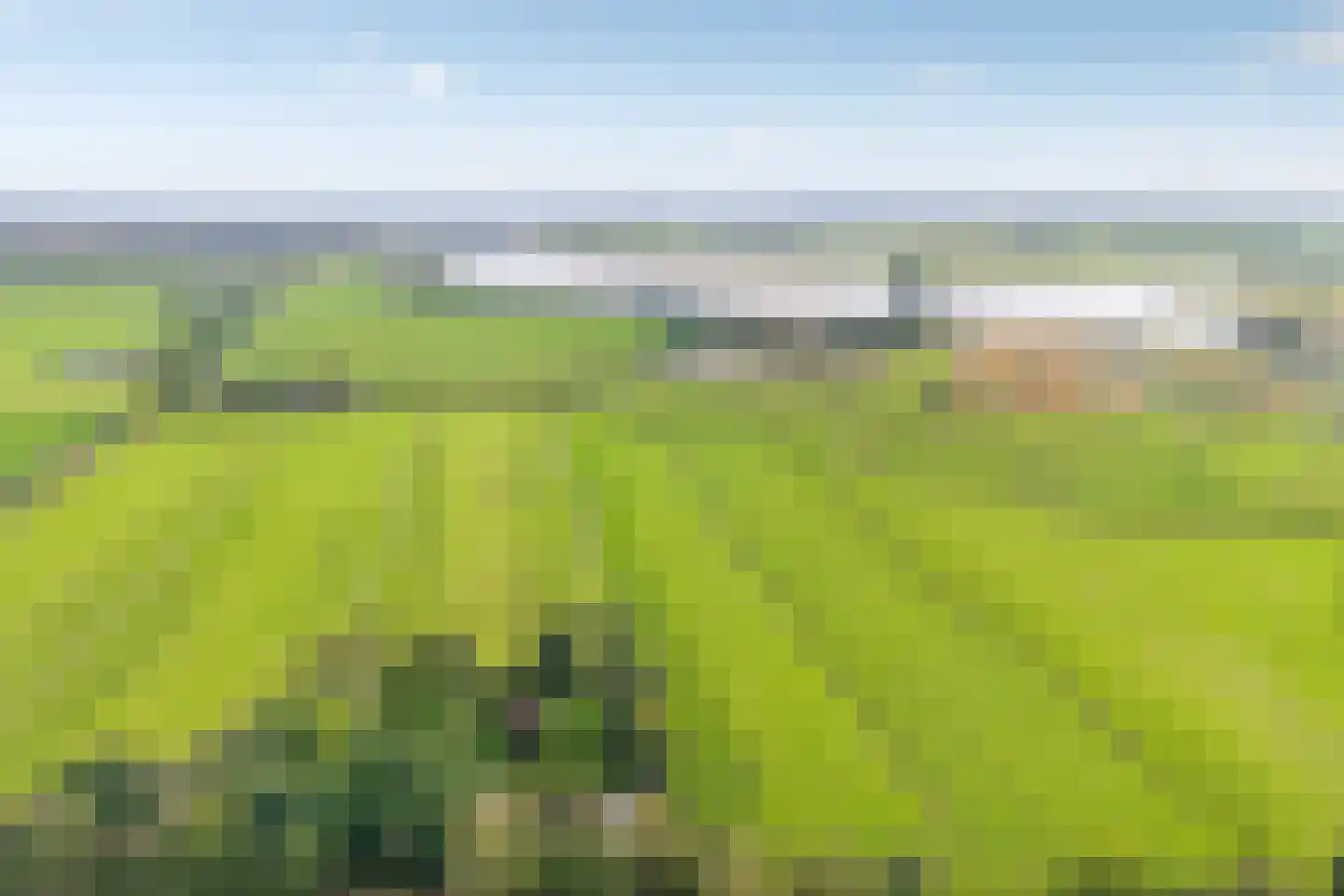 Kikkerij 1 Giethoorn thumbnail 5