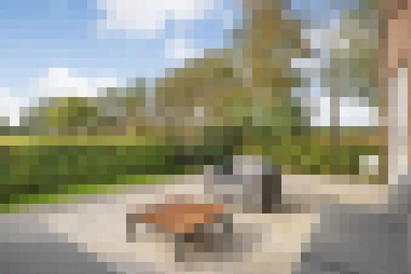 Kikkerij 1 Giethoorn thumbnail 59