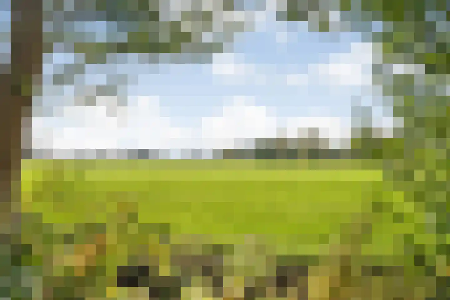Kikkerij 1 Giethoorn thumbnail 62