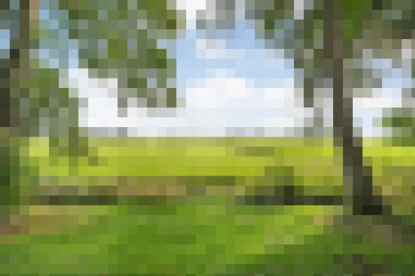 Kikkerij 1 Giethoorn thumbnail 64