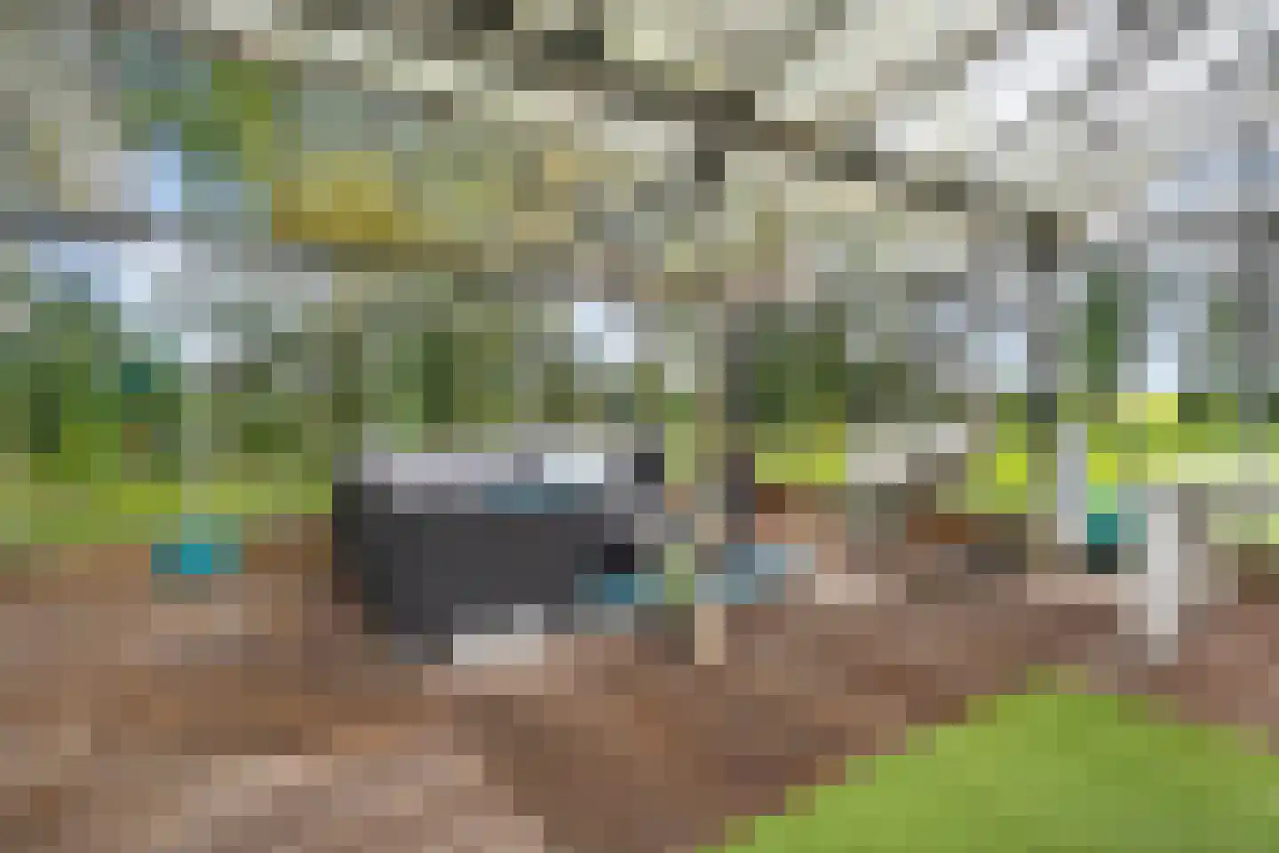 Kikkerij 1 Giethoorn thumbnail 66