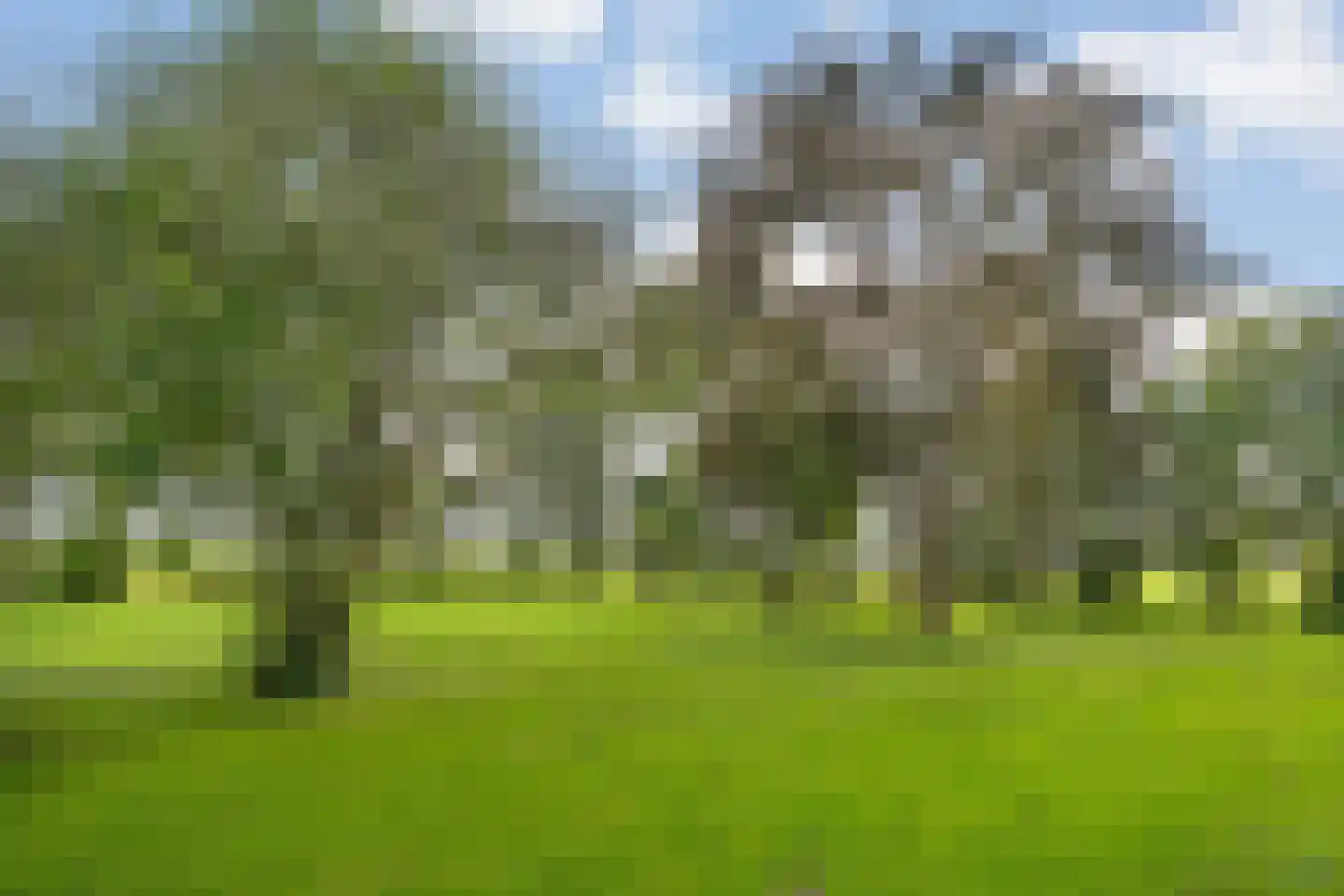 Kikkerij 1 Giethoorn thumbnail 68