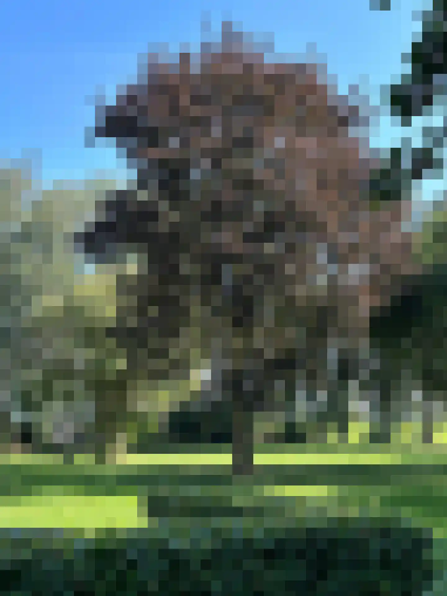 Kikkerij 1 Giethoorn thumbnail 69
