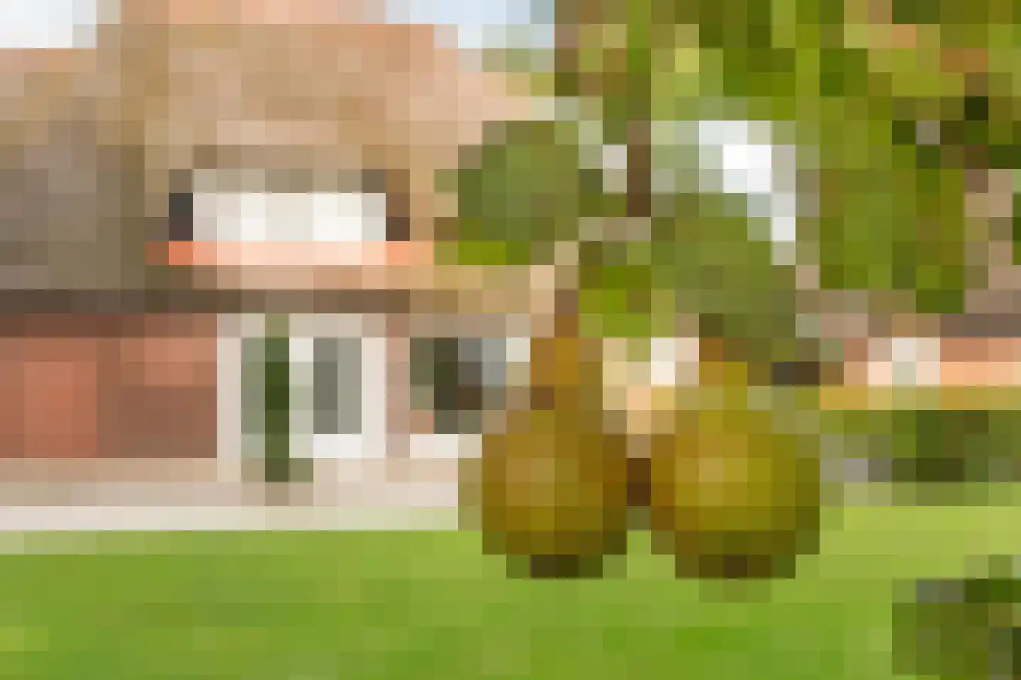Kikkerij 1 Giethoorn thumbnail 71