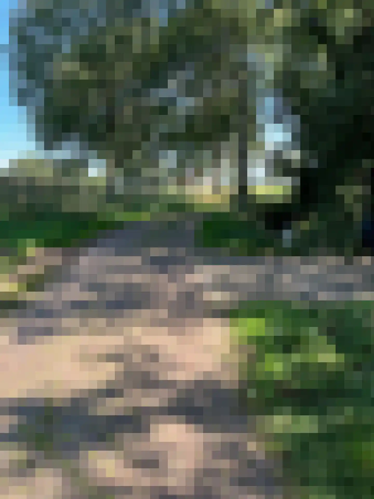 Kikkerij 1 Giethoorn thumbnail 75