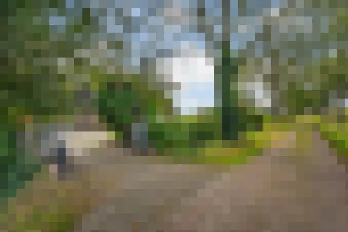 Kikkerij 1 Giethoorn thumbnail 76
